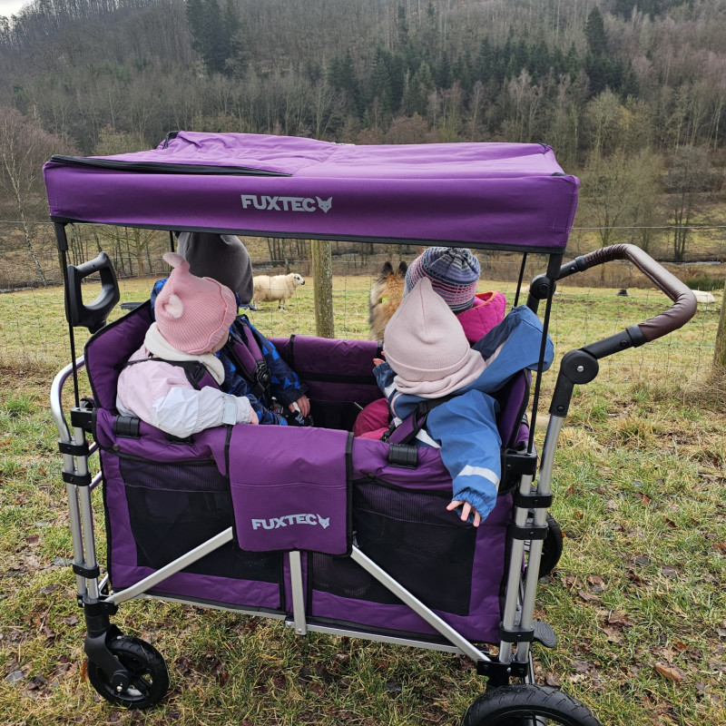 Ausflug zu den Schafen