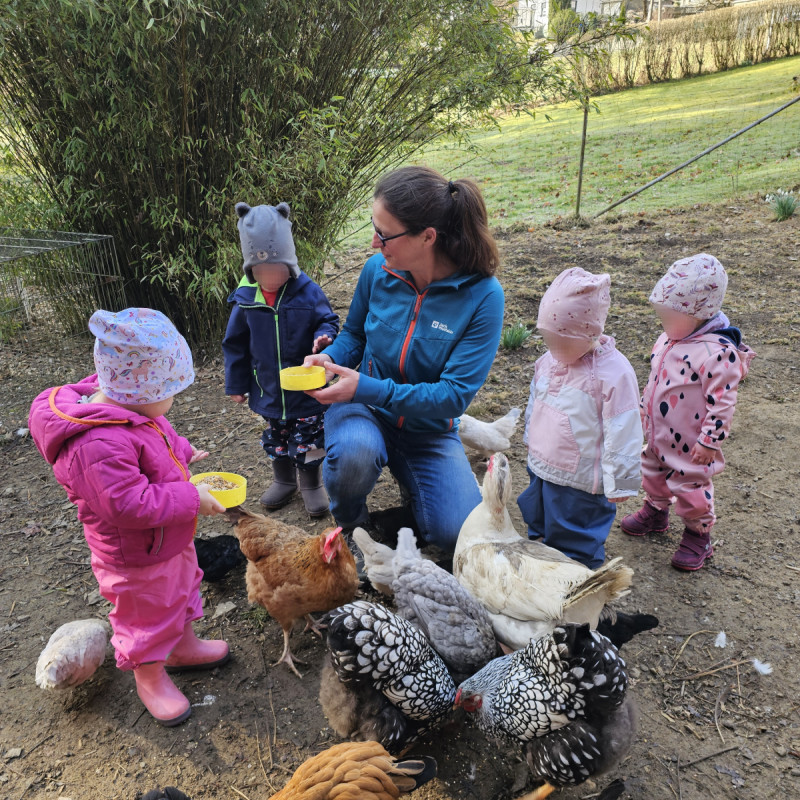 Ausflug zu den Hühnern